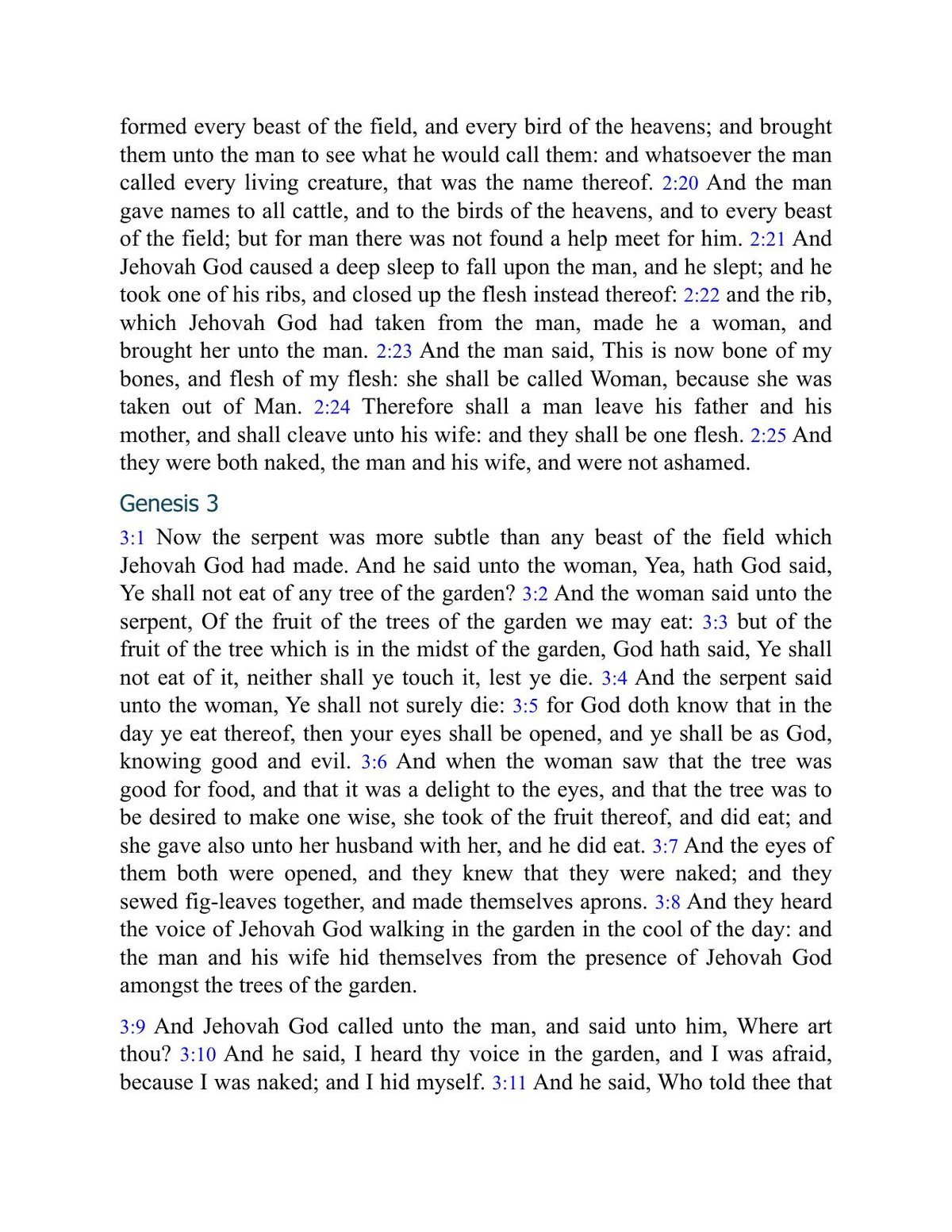 Digital ASV Bible PDF with Clickable Index | iPad Bible | Goodnotes | TouchNotes | Bible Study | Christian Journal | Journaling Bible — image 8